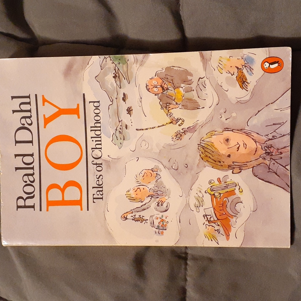 Boy: Tales Of Childhood book by Roald Dahl